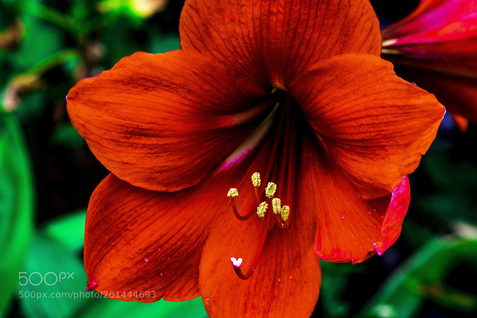 Nikon D7200 sample photo. Gardenview  photography
