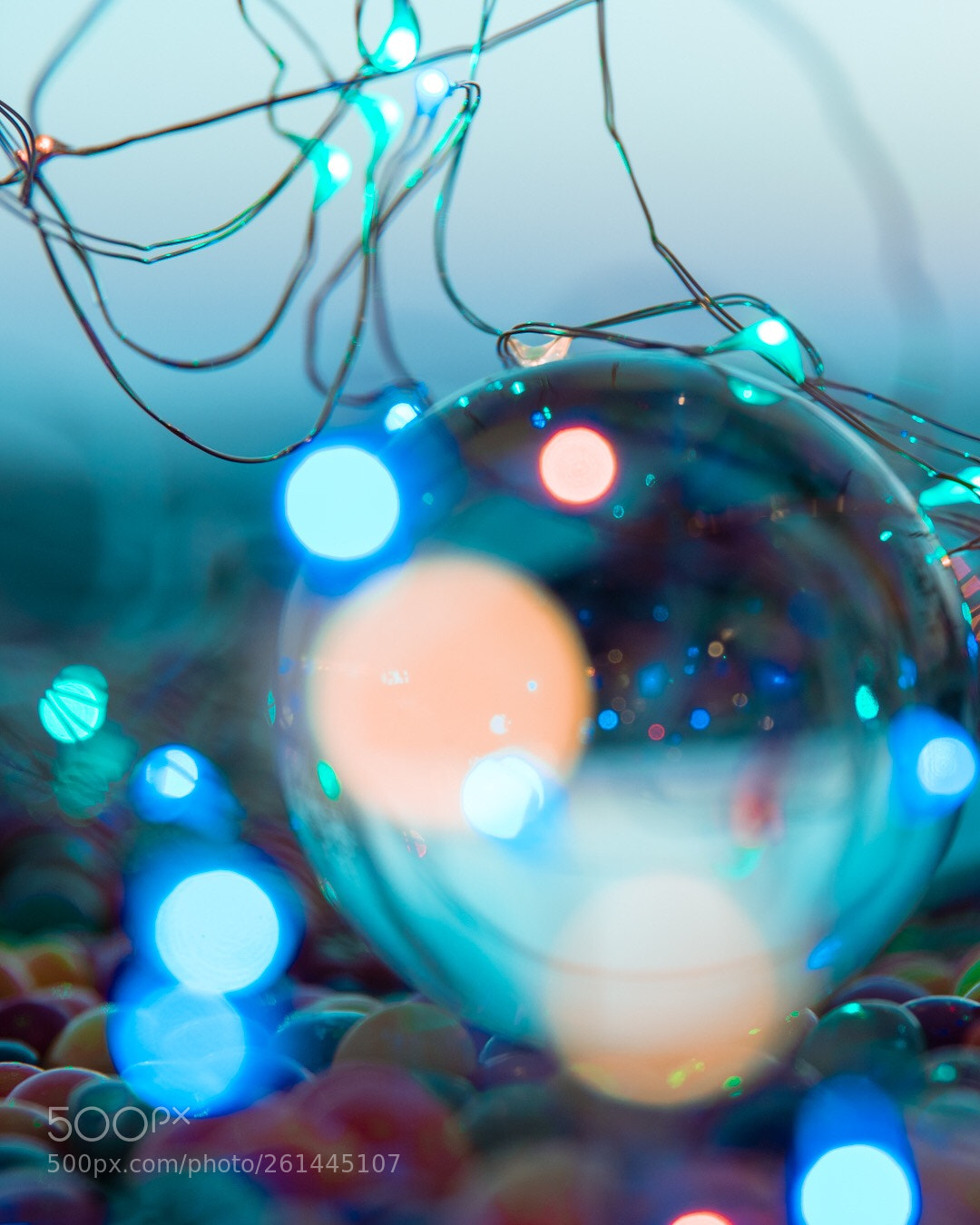 Canon EOS 80D sample photo. Chaotic bokeh photography