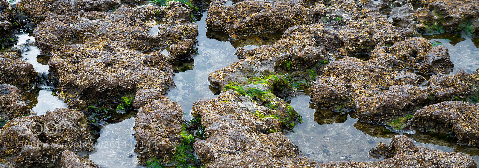 Canon EOS 7D sample photo. Still ravine photography