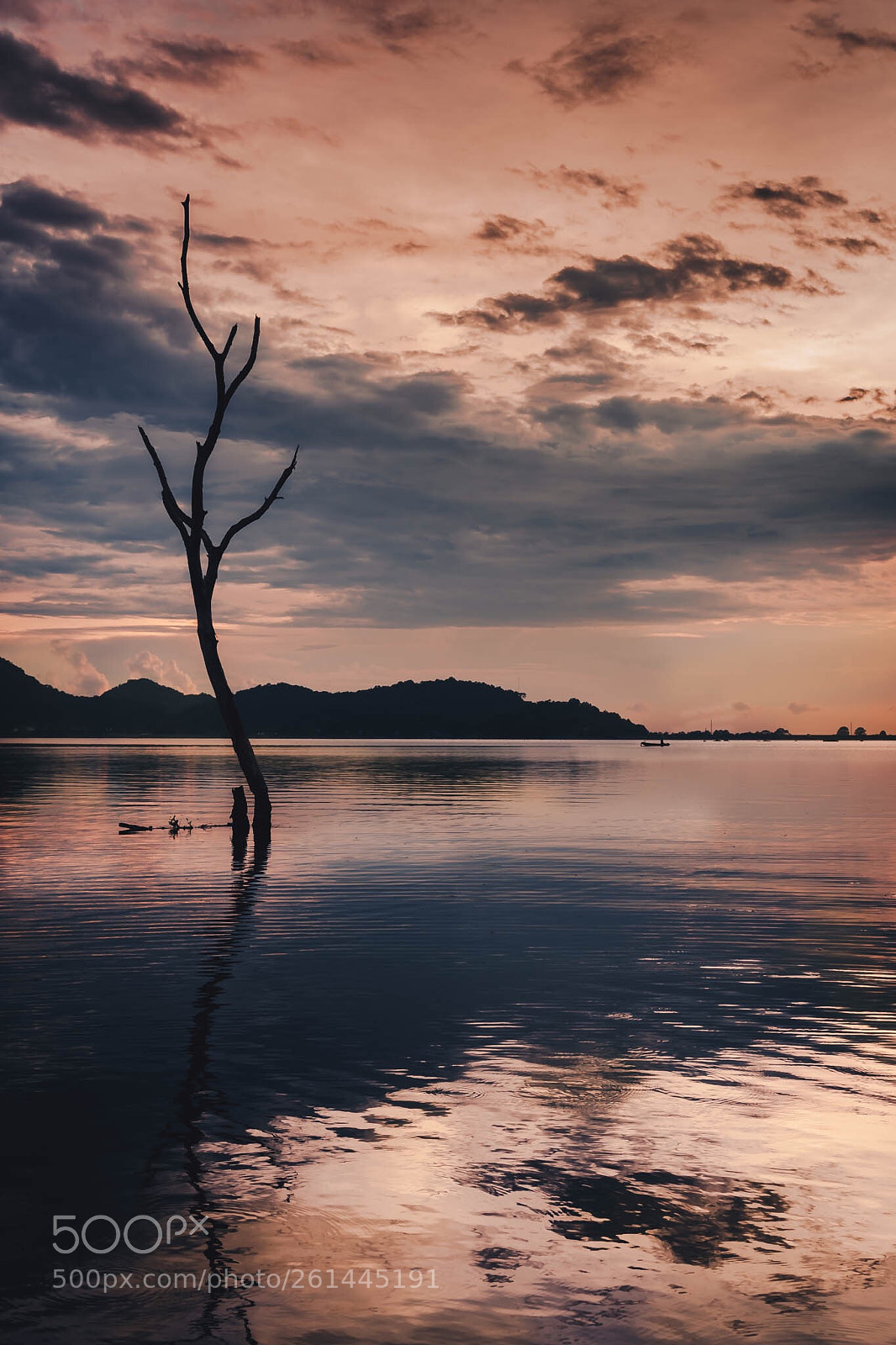Sony a7 III sample photo. Sunset moment photography