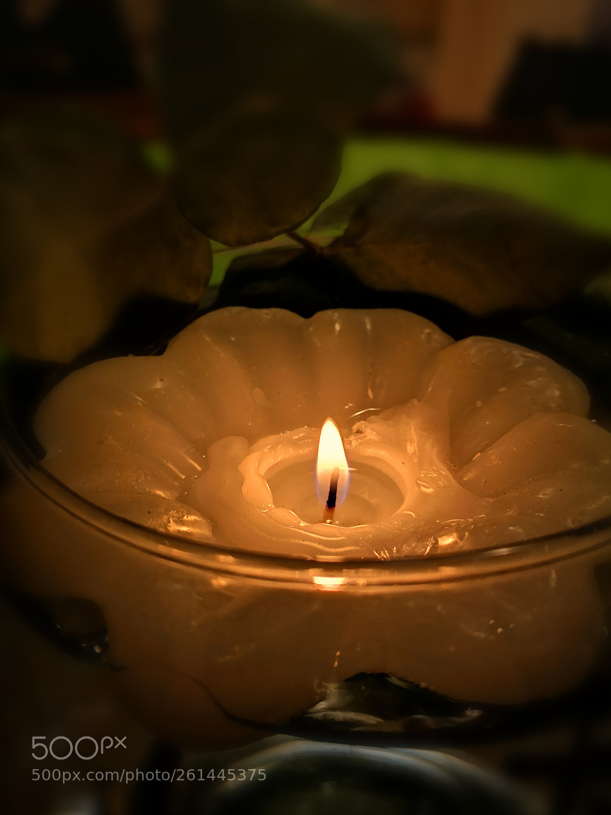 HUAWEI P20 sample photo. Untitled photography