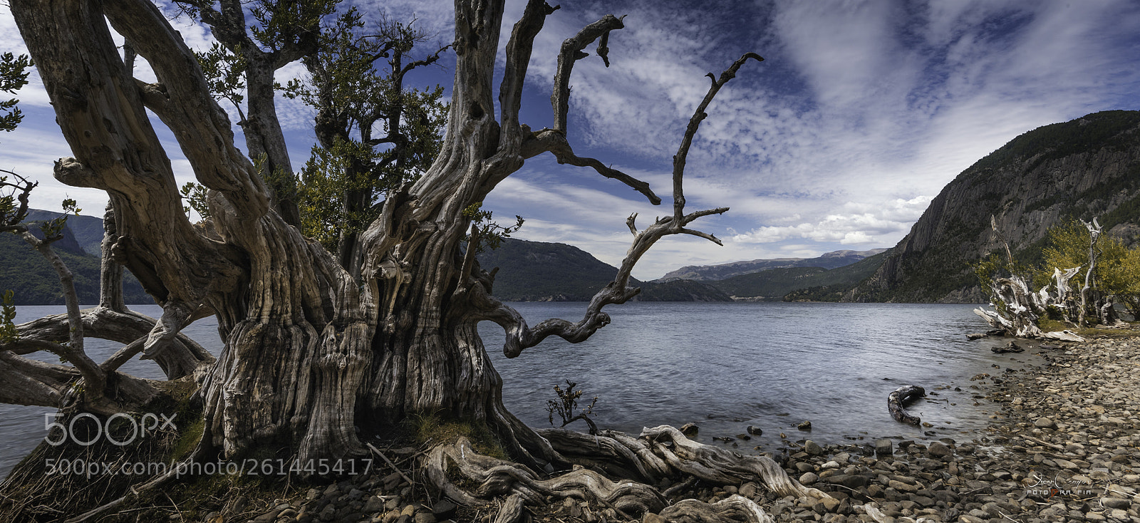 Nikon D810 sample photo. Array n en el photography