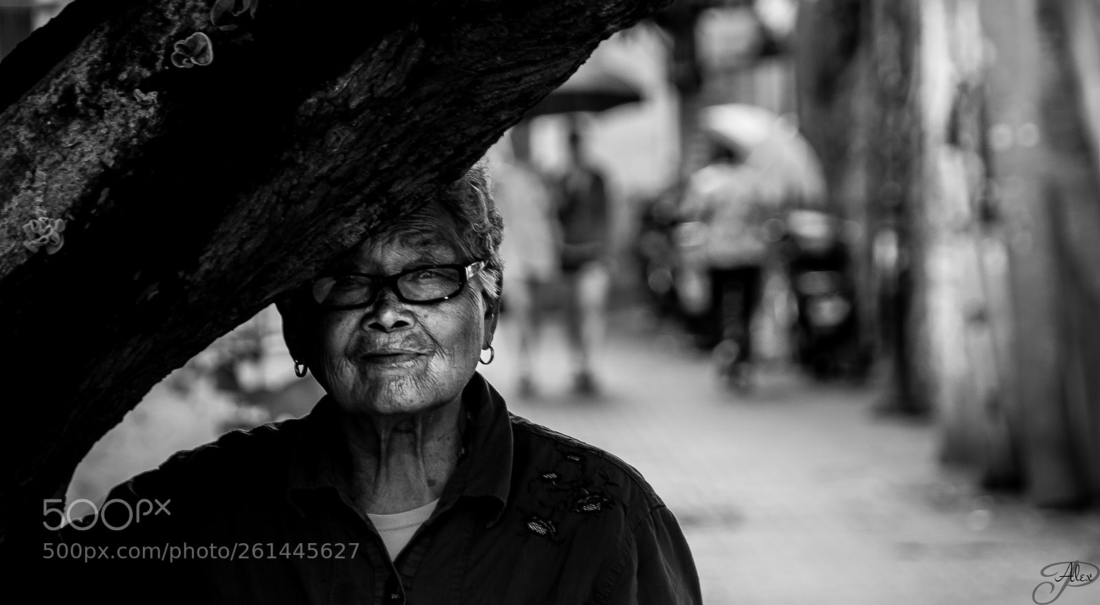 Nikon D7100 sample photo. Wisdom photography