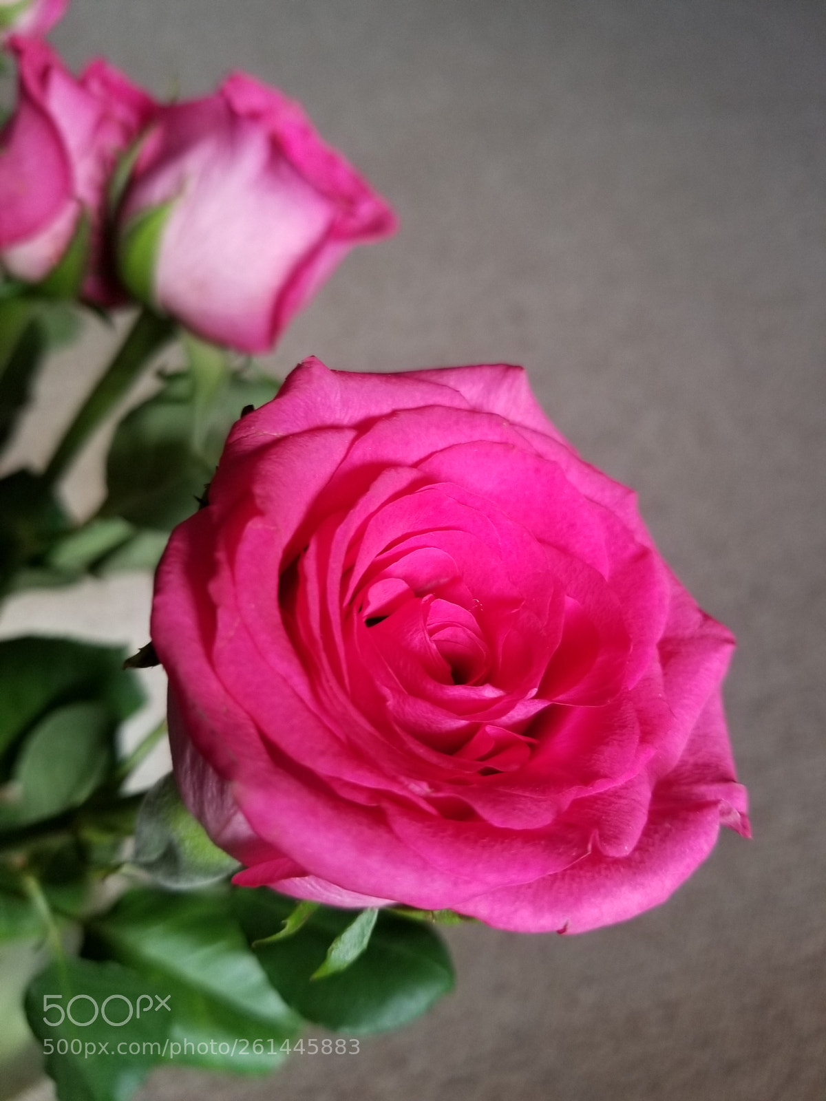 Samsung Galaxy S8 sample photo. Untitled photography