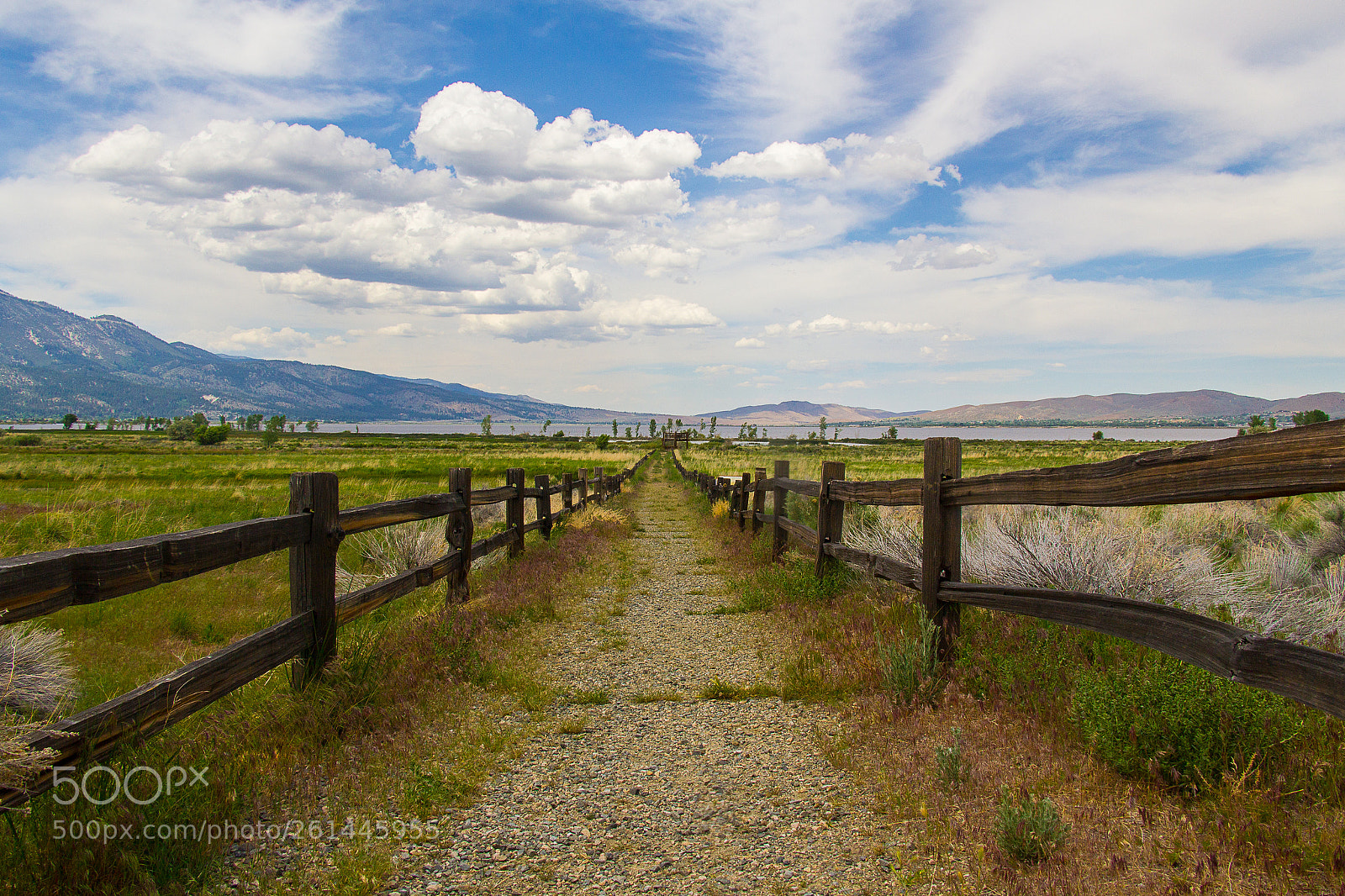 Canon EOS 550D (EOS Rebel T2i / EOS Kiss X4) sample photo. Fence line to washoe photography