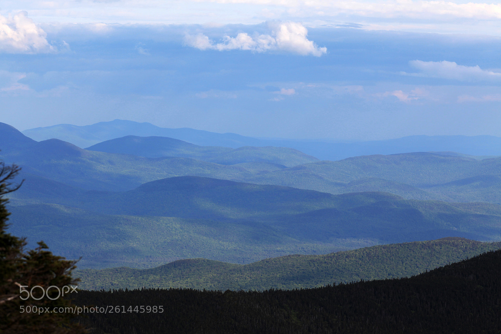 Canon EOS 5D Mark II sample photo. Look out from mount photography