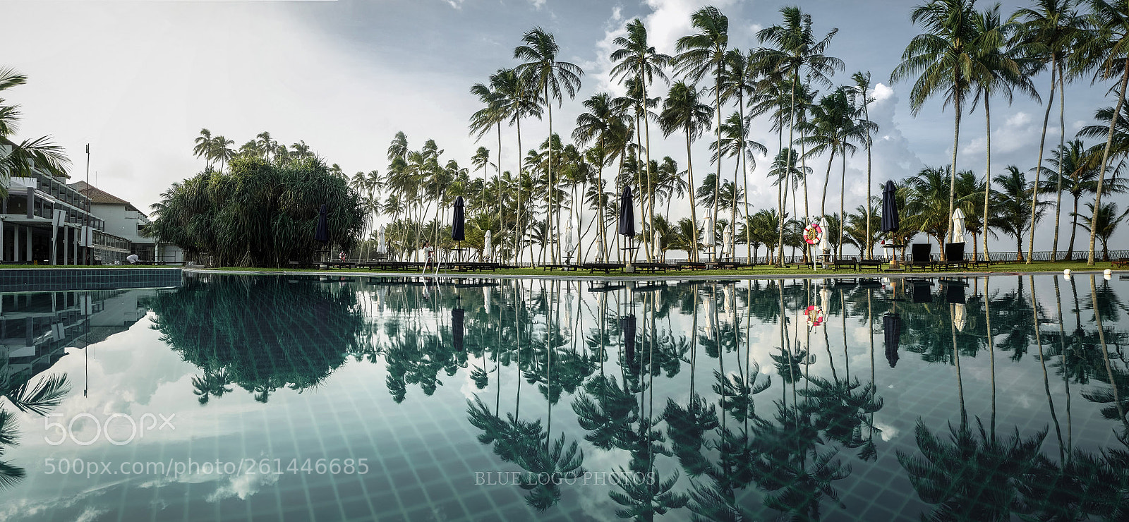 Leica Q (Typ 116) sample photo. Sri lanka photography