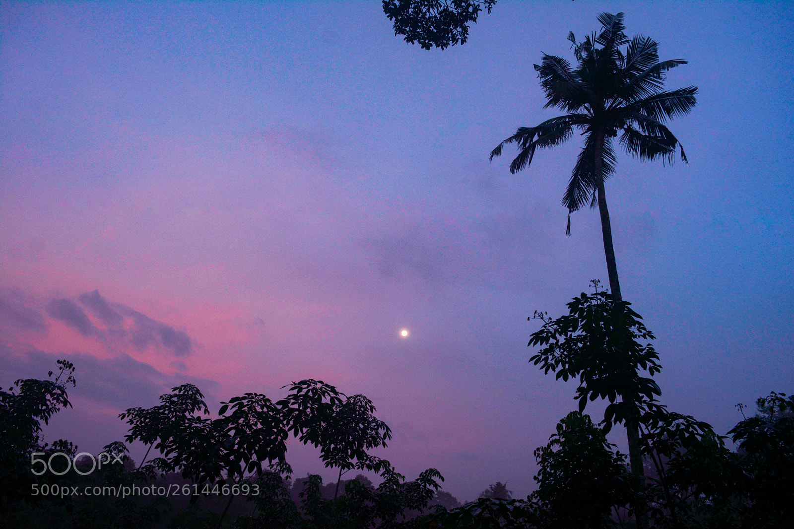 Nikon D5200 sample photo. Before sunrise photography