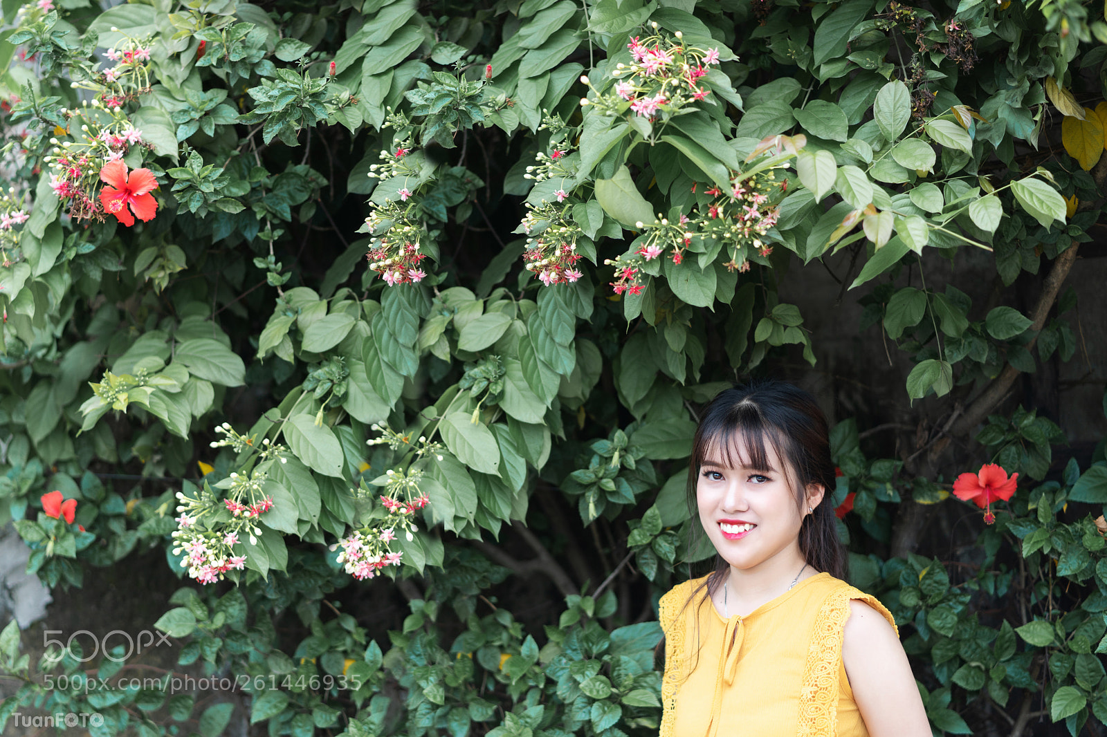 Sony a7 II sample photo. June-2018 photography
