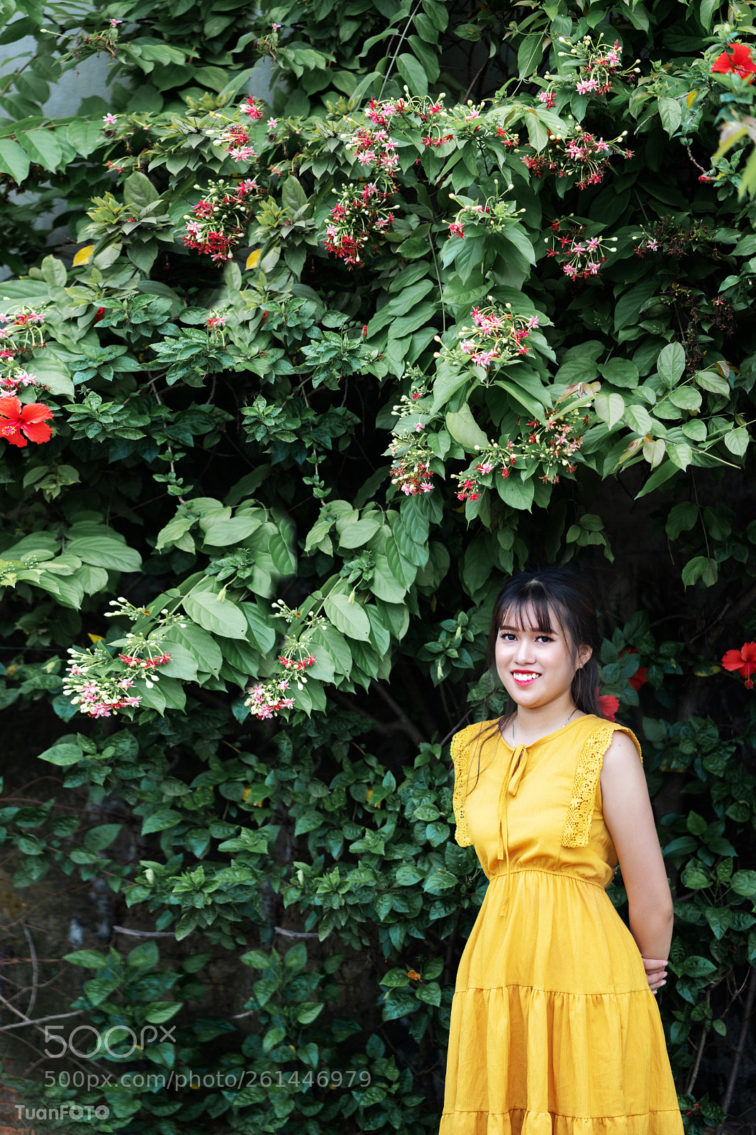 Sony a7 II sample photo. June-2018 photography