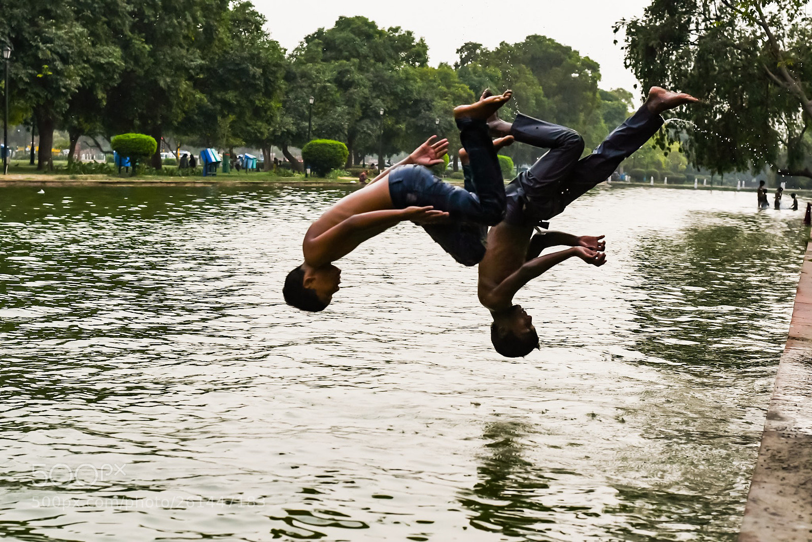 Nikon D500 sample photo. Untitled photography