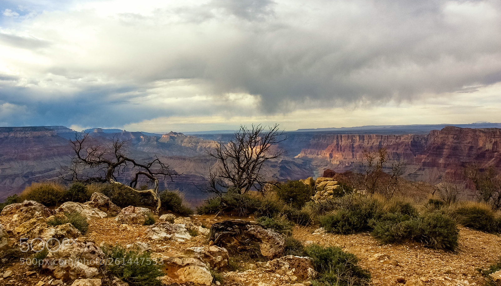 Nikon D70s sample photo. Grand canyon photography