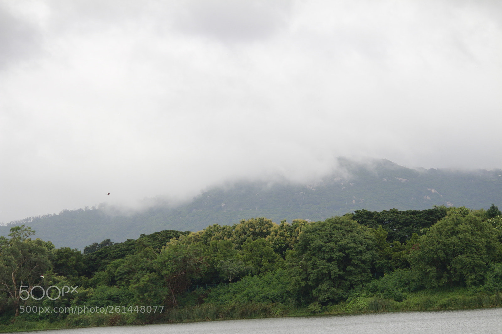 Canon EF-S 55-250mm F4-5.6 IS II sample photo. Untitled photography