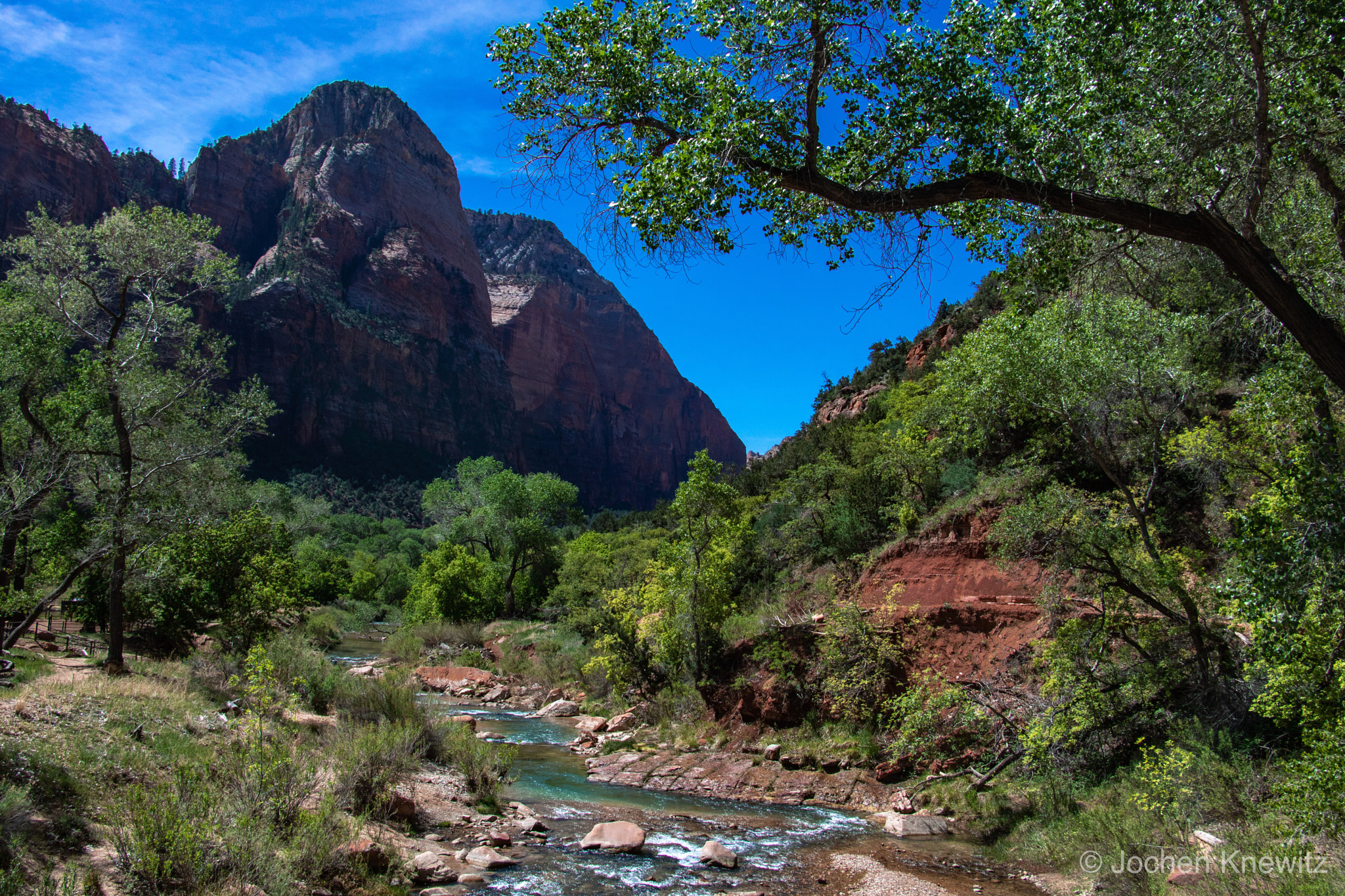 Canon EOS 760D (EOS Rebel T6s / EOS 8000D) sample photo. Zion national park photography