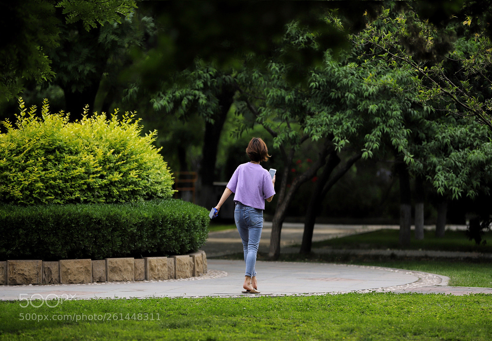 Canon EOS 6D Mark II sample photo. 安静 photography