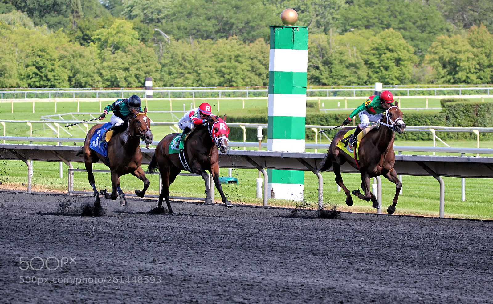 Canon EOS 600D (Rebel EOS T3i / EOS Kiss X5) sample photo. Racing the stakes photography