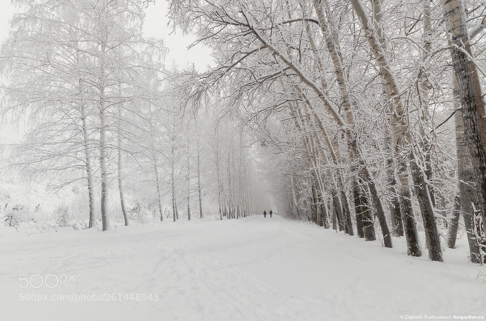 Sony SLT-A58 sample photo. Winter treadmill at the photography