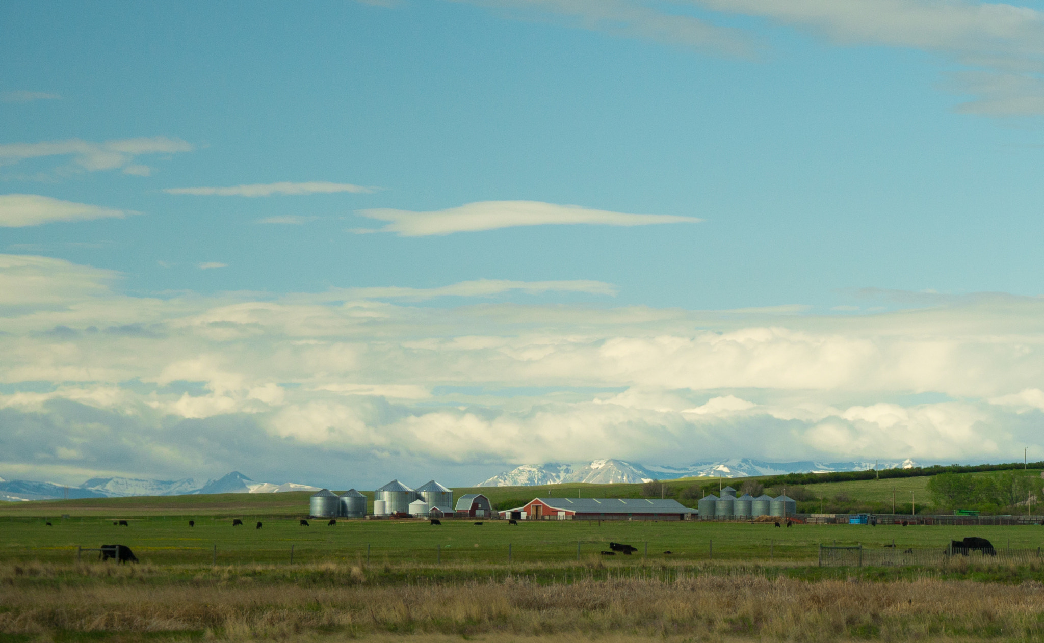 Sony a6500 sample photo. Life under the big sky photography