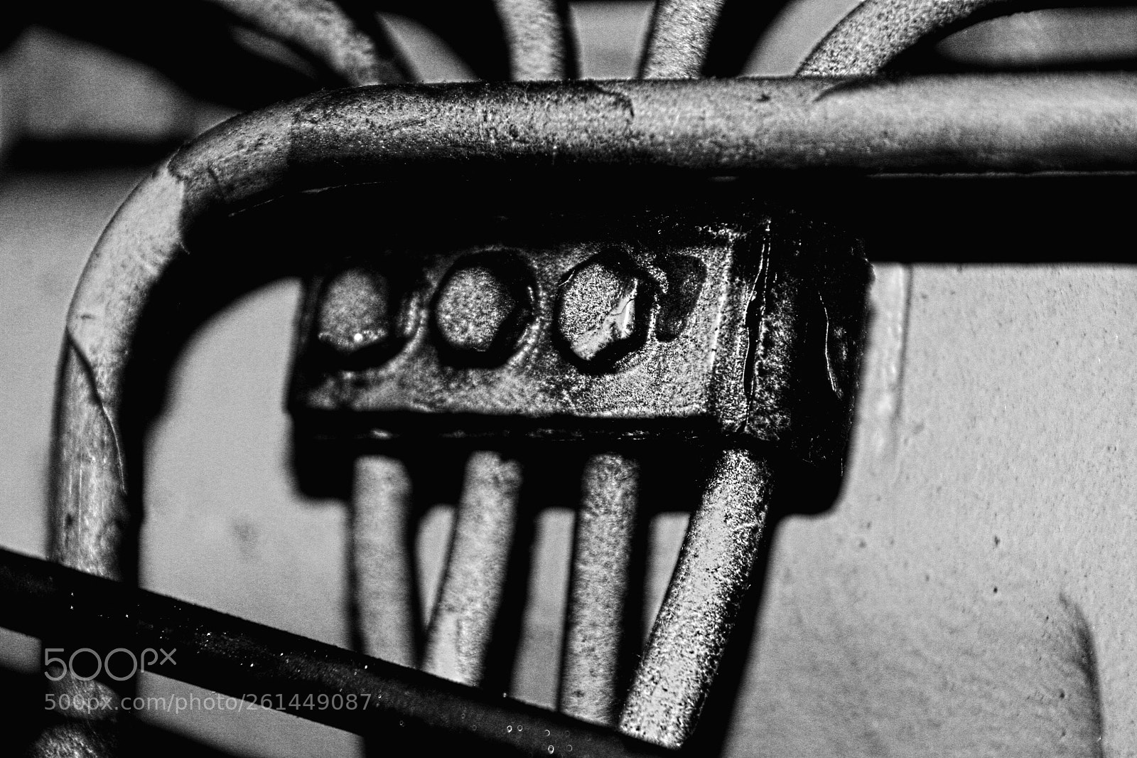 Canon EOS 20D sample photo. Img photography