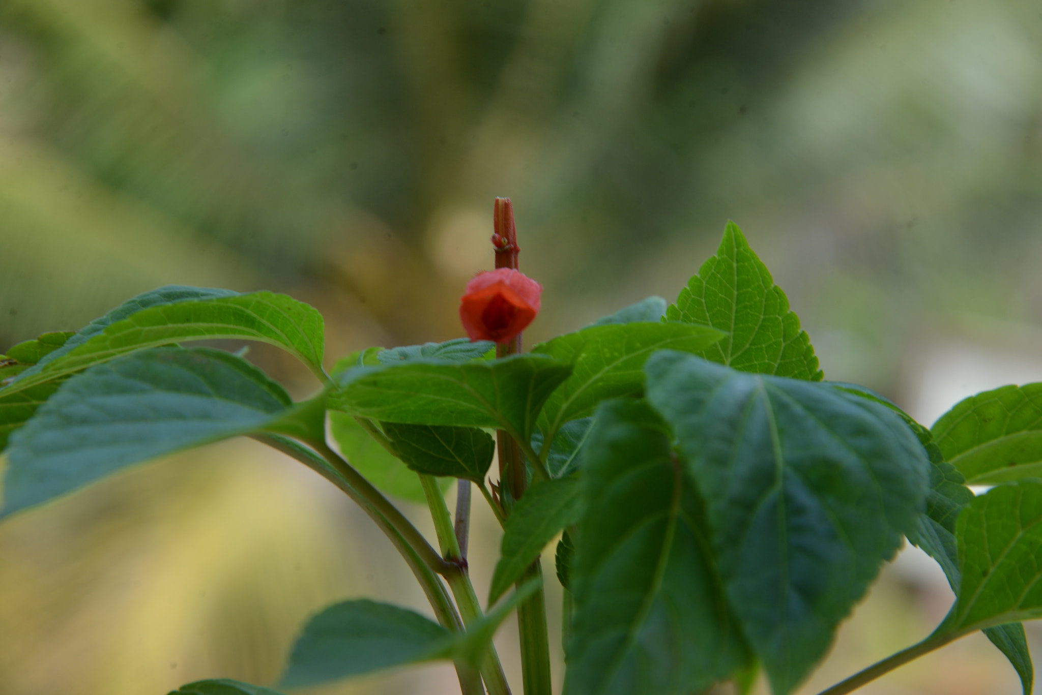 Nikon AF-S Nikkor 24-120mm F4G ED VR sample photo