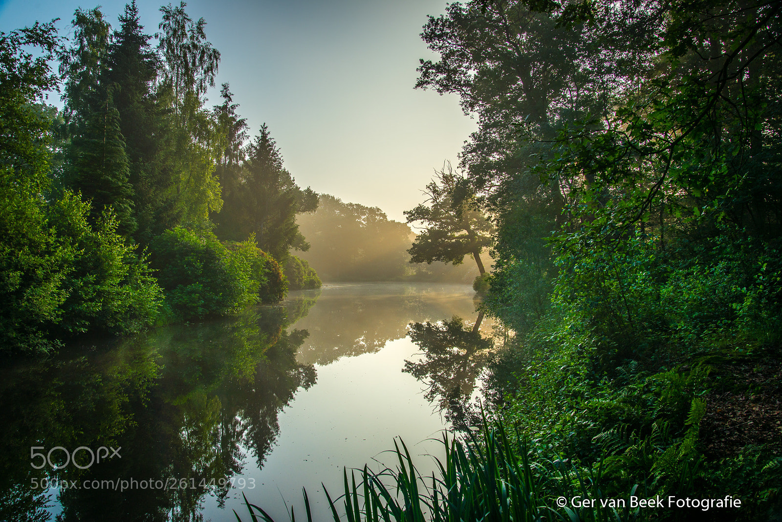 Nikon D610 sample photo. Wamberg photography