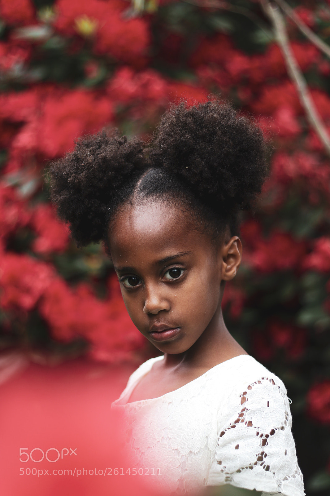 Canon EOS 80D sample photo. Untitled photography