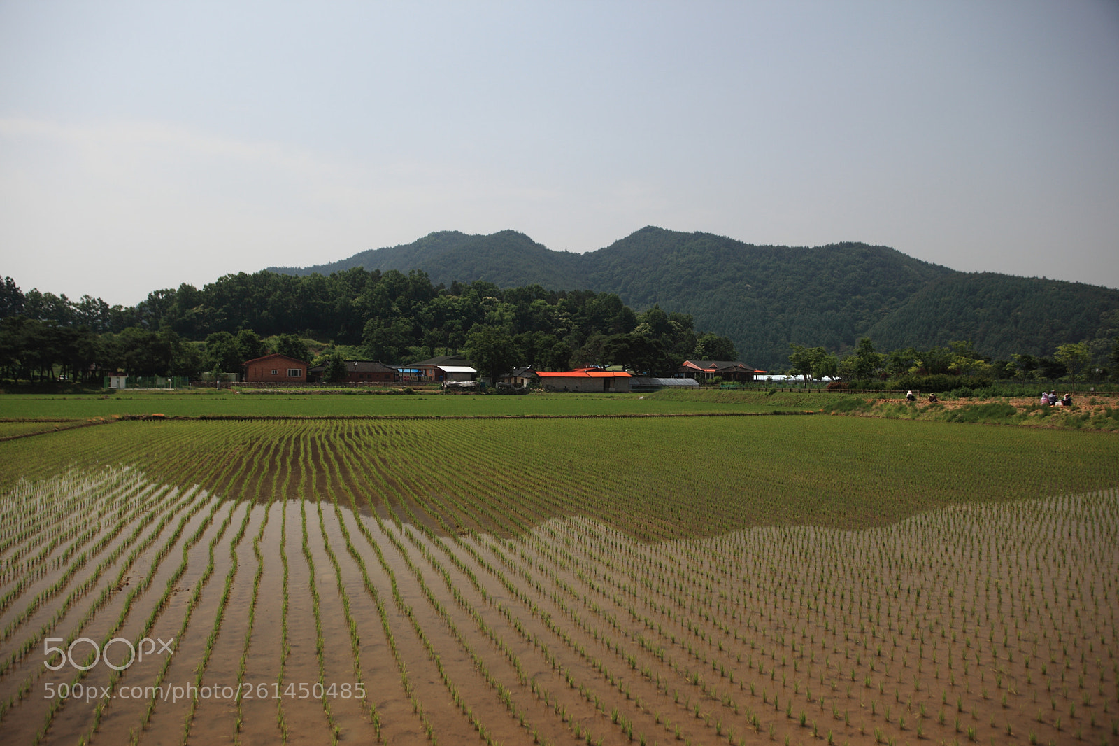 Canon EOS 5D Mark II sample photo. Farmland photography