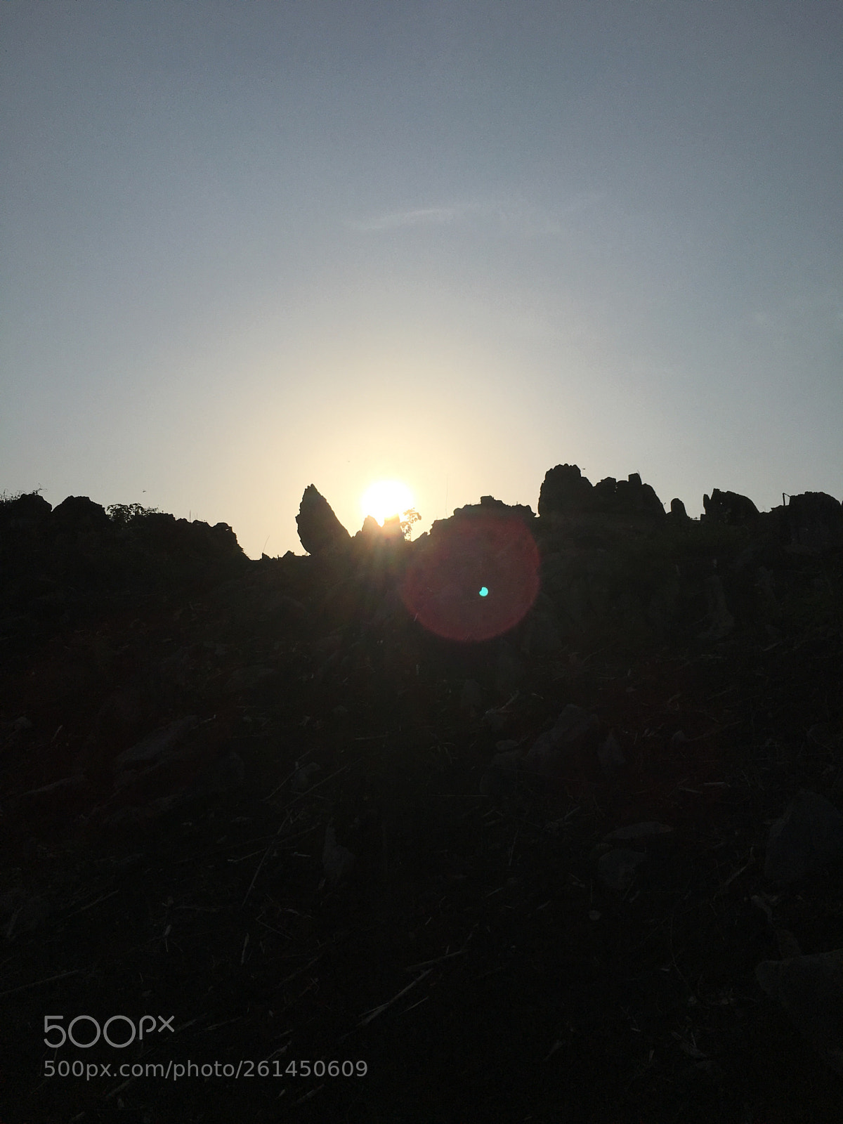 Apple iPhone 6s Plus sample photo. Untitled photography
