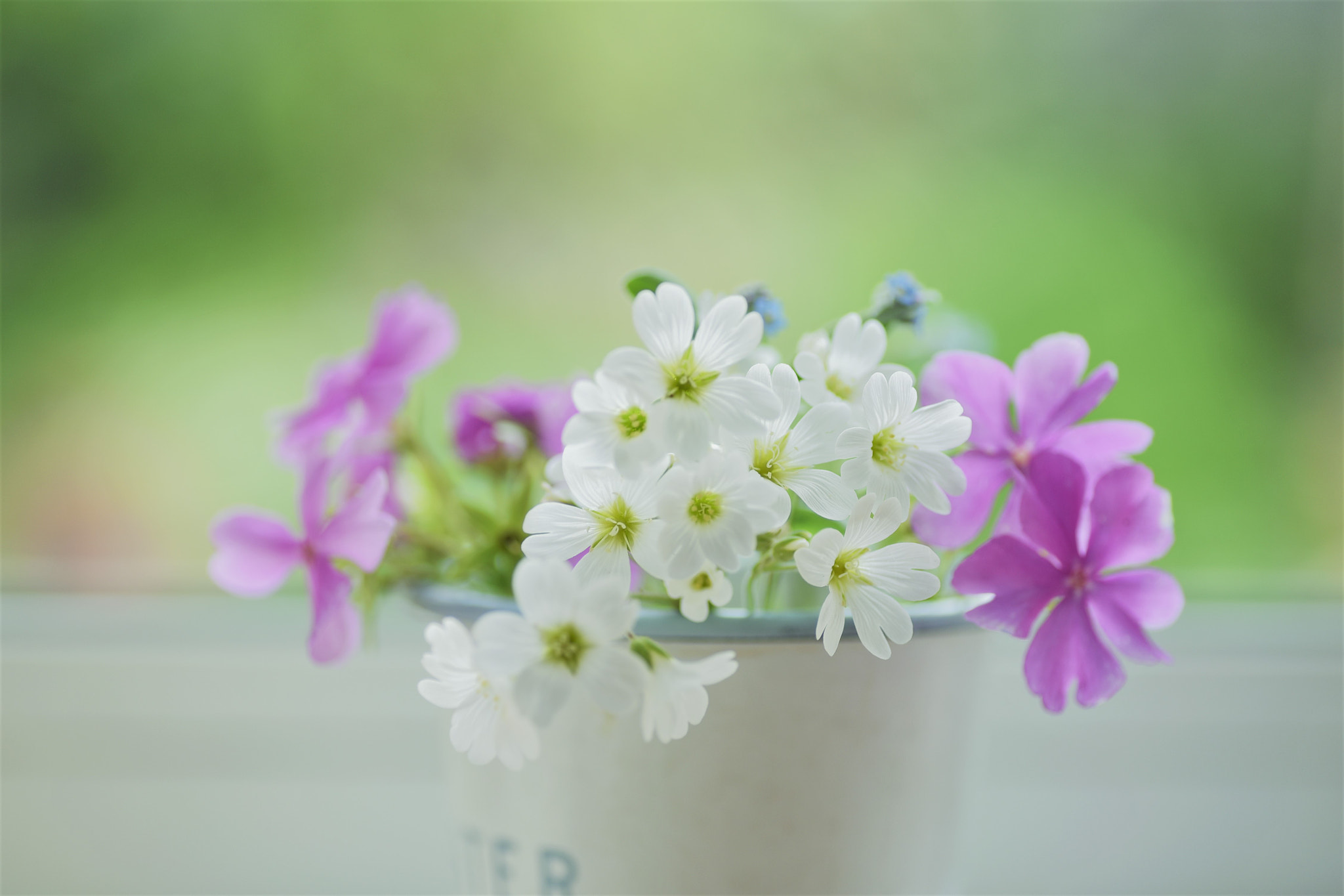 Nikon D750 sample photo. Morning awakening♪ photography