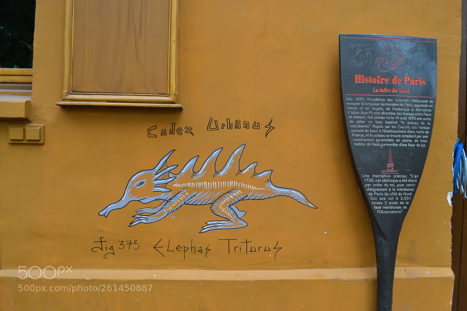 Nikon D3100 sample photo. Fantastic beast photography