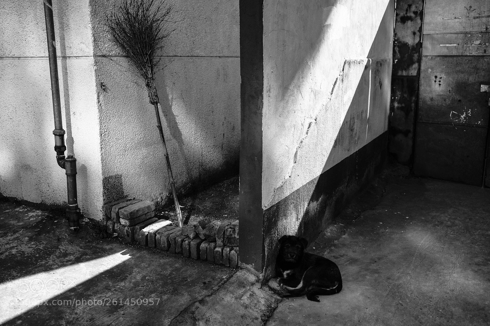 Fujifilm X-Pro2 sample photo. Black, white and grey photography