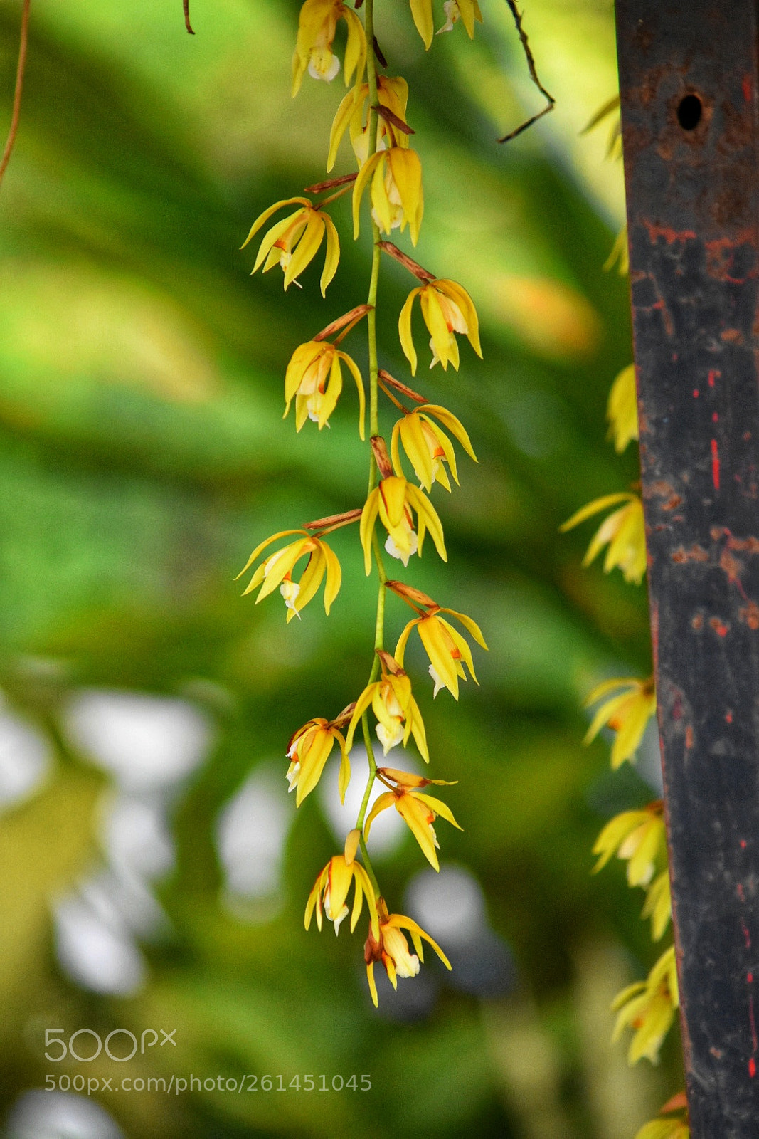 Nikon D3400 sample photo. Untitled photography