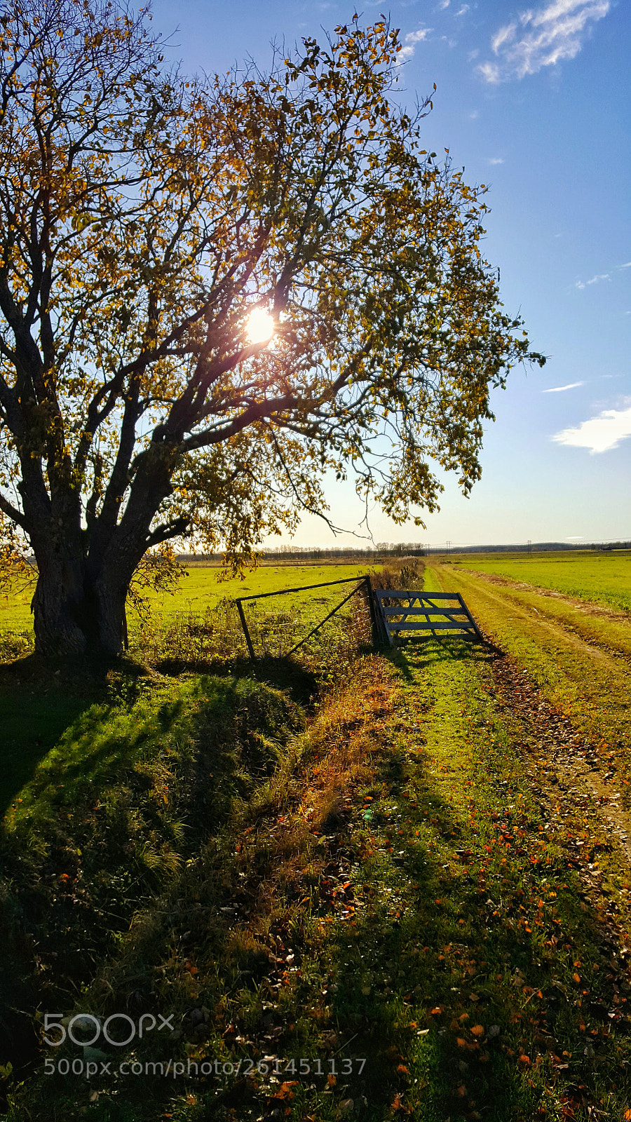 Samsung Galaxy S6 sample photo. Countryside photography