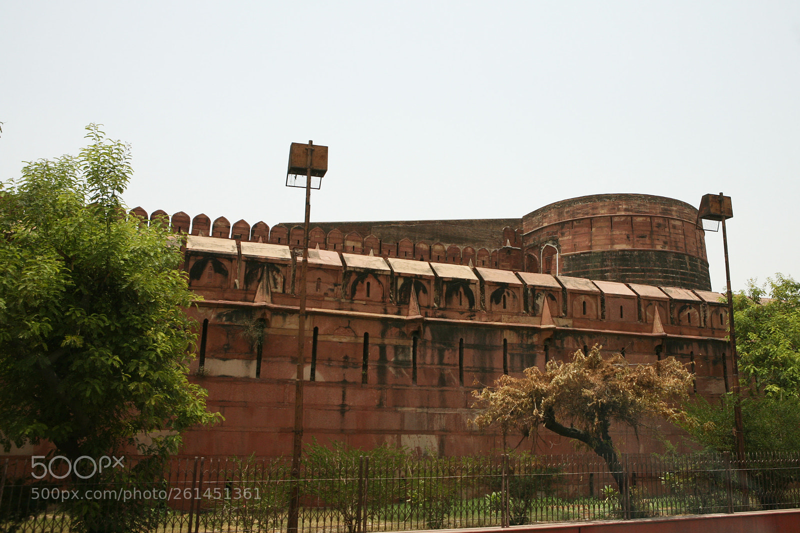 Canon EOS 5D sample photo. India photography