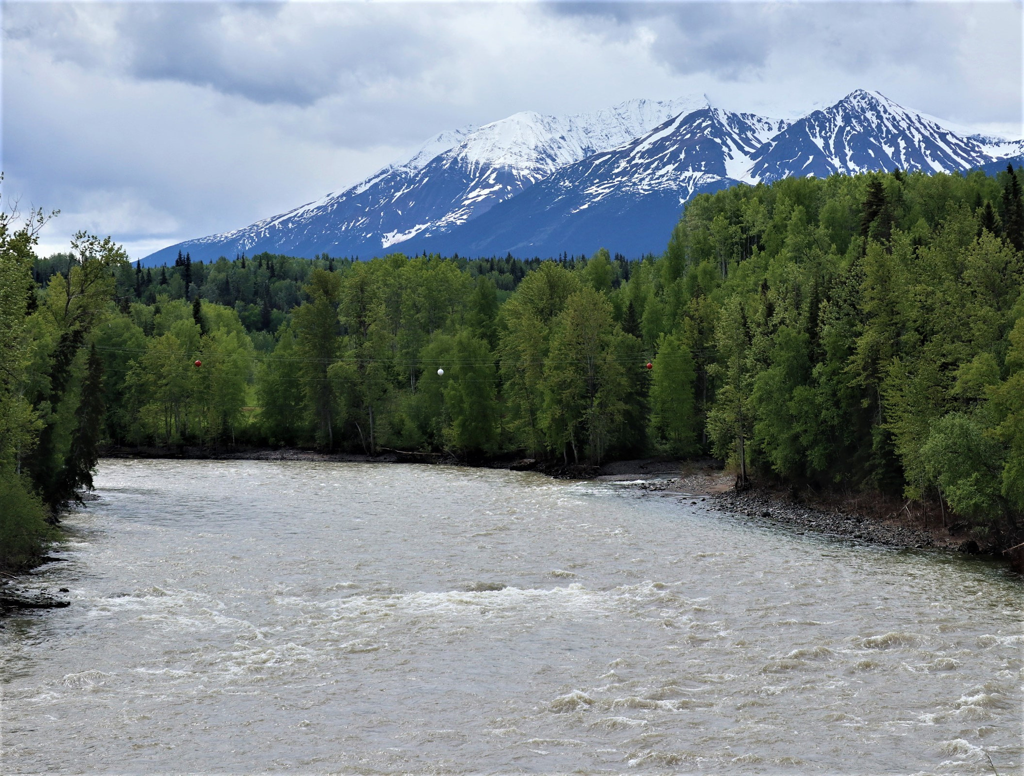 Canon EOS M100 sample photo. Salmon river photography