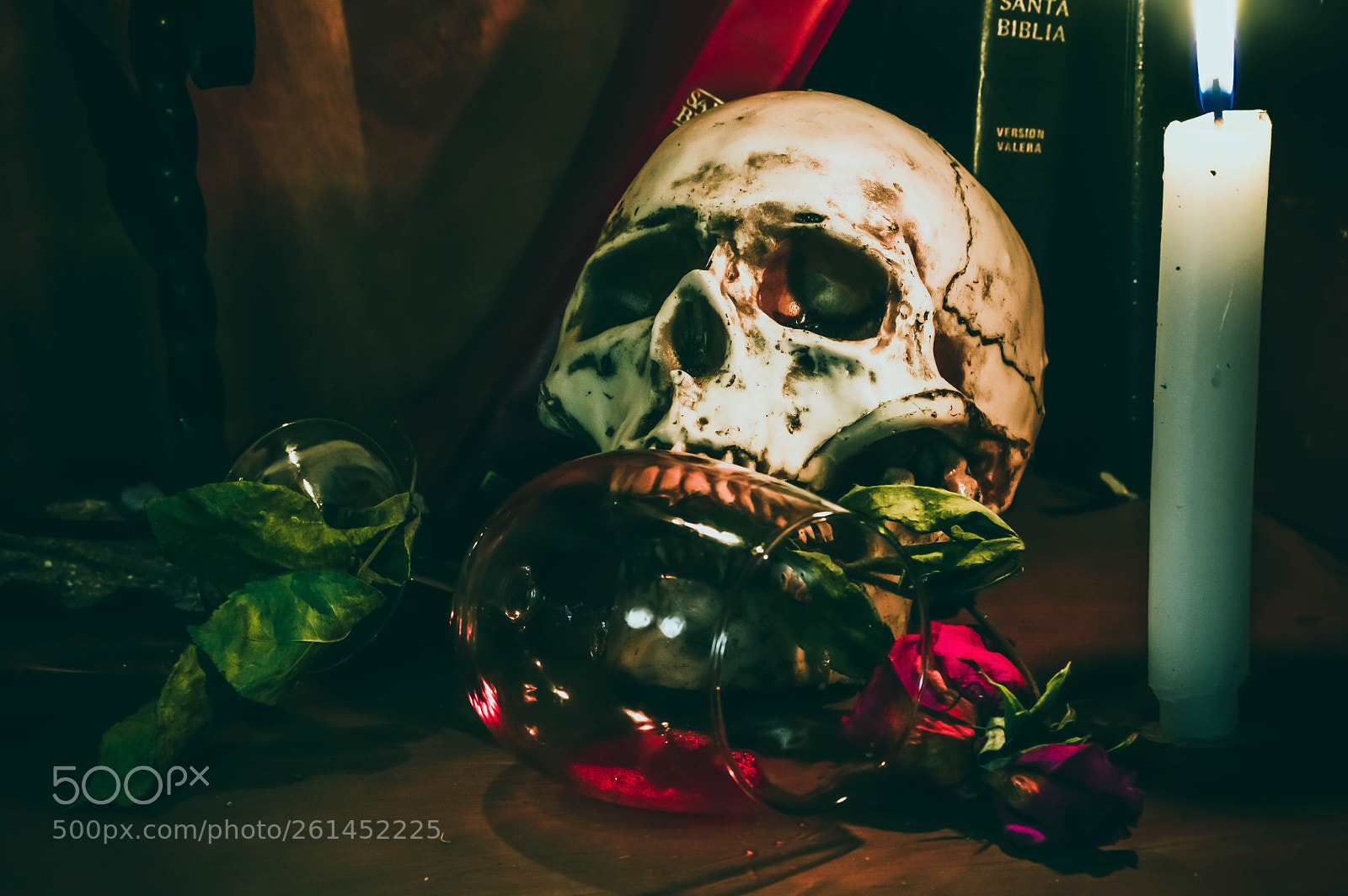 Nikon D3200 sample photo. Skull & blood photography