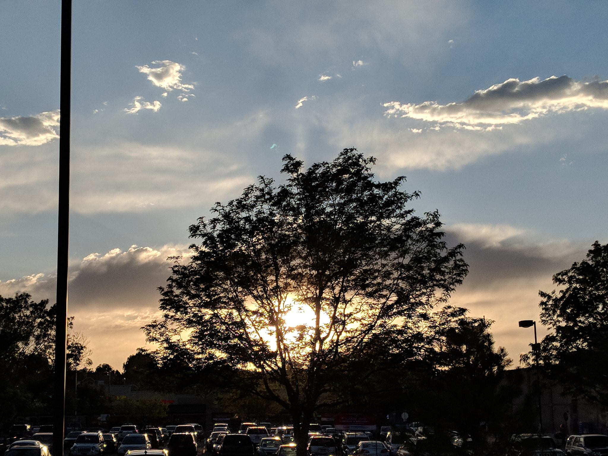 Google Pixel 2 XL sample photo