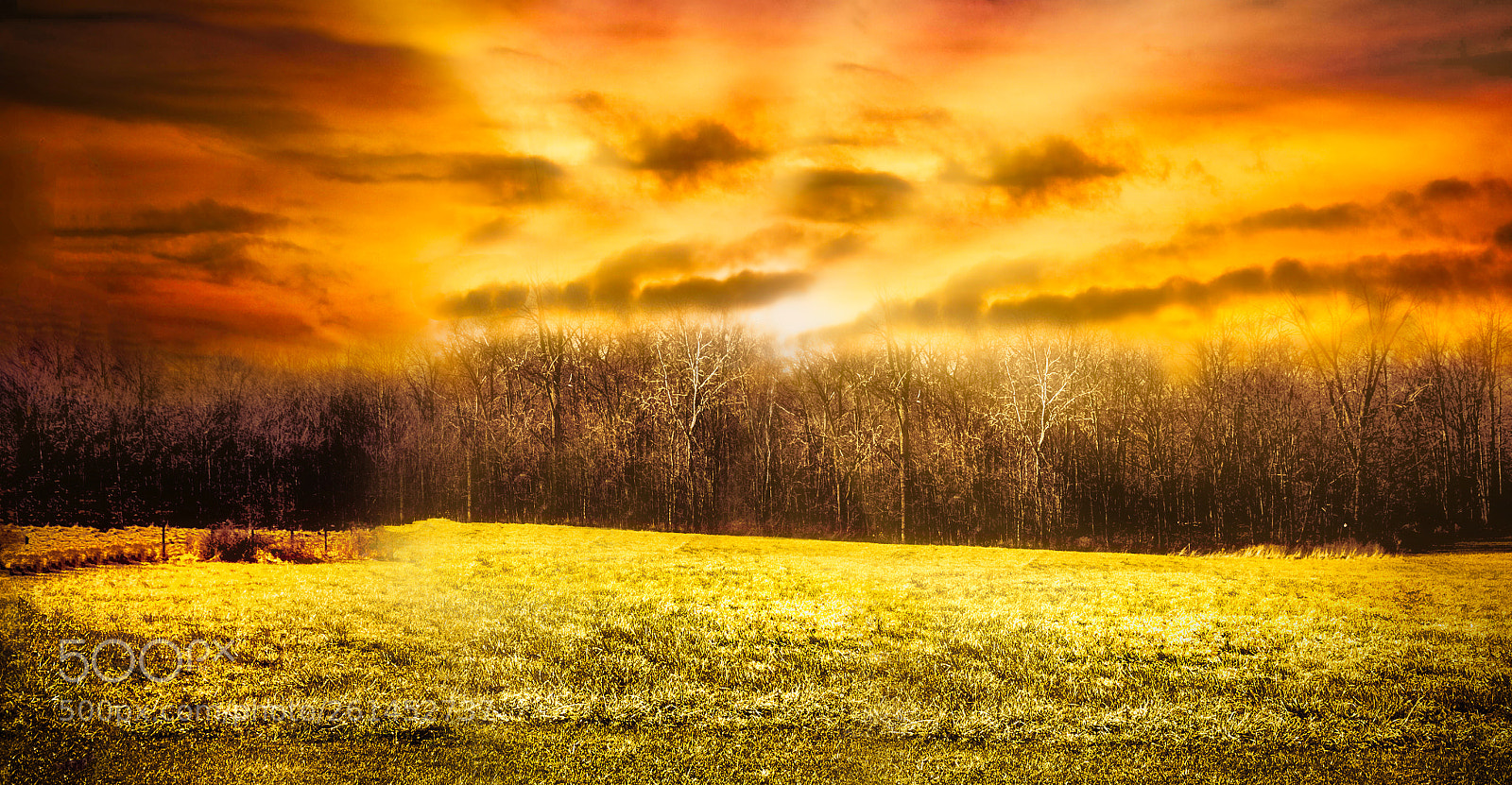 Nikon D5100 sample photo. Grasslands sunset photography