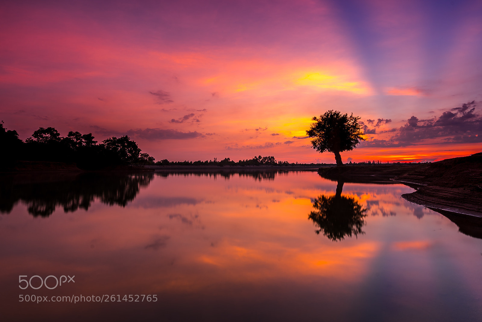 Sony a7 II sample photo. Lonely tree photography