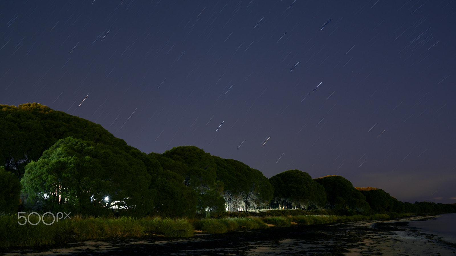 Tamron SP 24-70mm F2.8 Di VC USD sample photo. Star fall photography