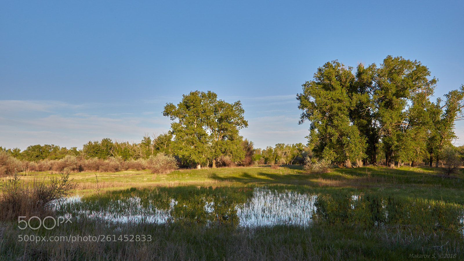 Canon EOS 6D sample photo. The volga-akhtuba floodplain photography