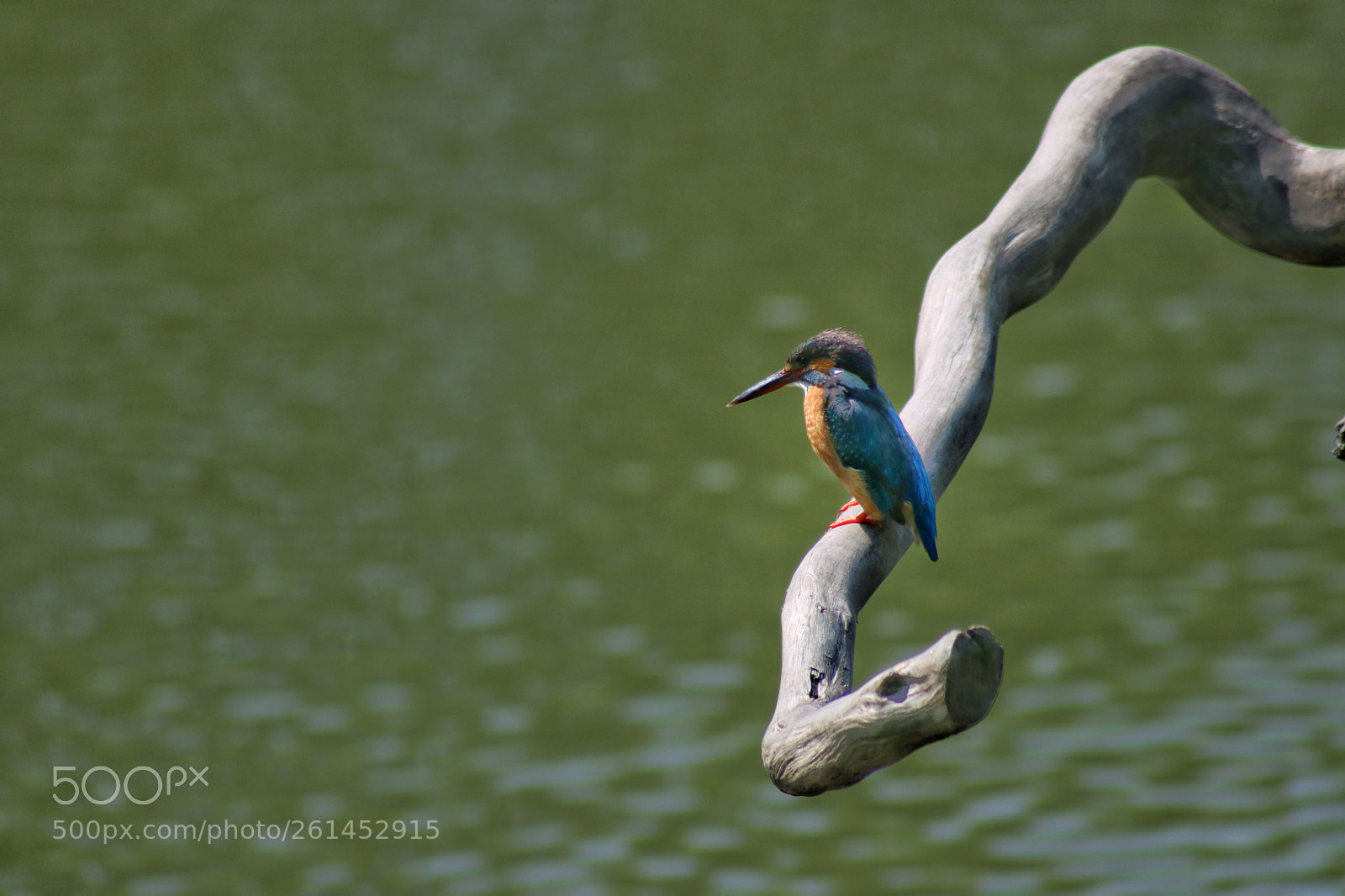 Canon EOS 80D sample photo. Untitled photography