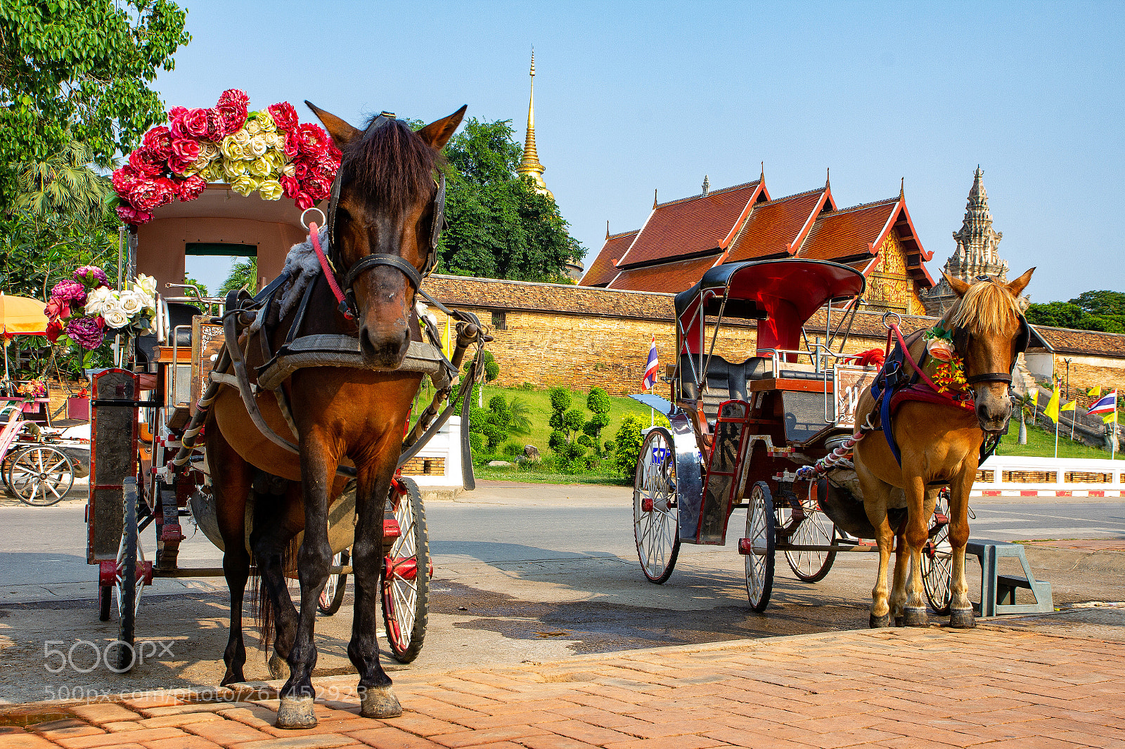 Canon EOS 60D sample photo. Horse carriage at wat photography