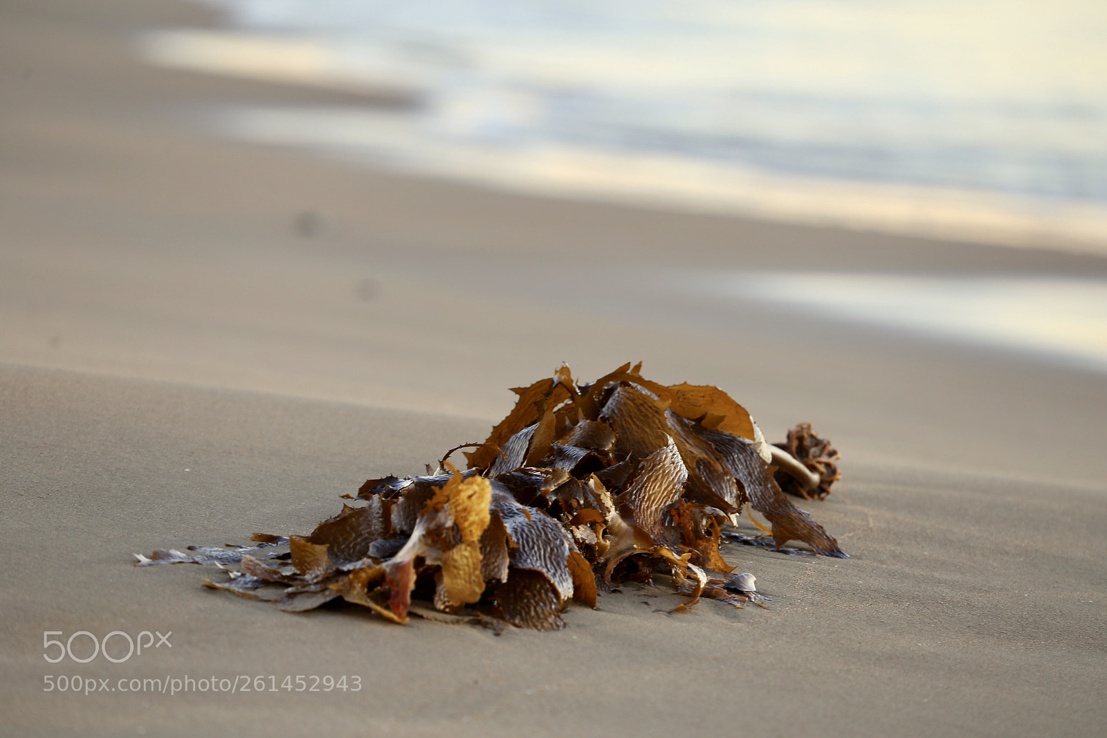 Canon EOS 6D sample photo. Untitled photography