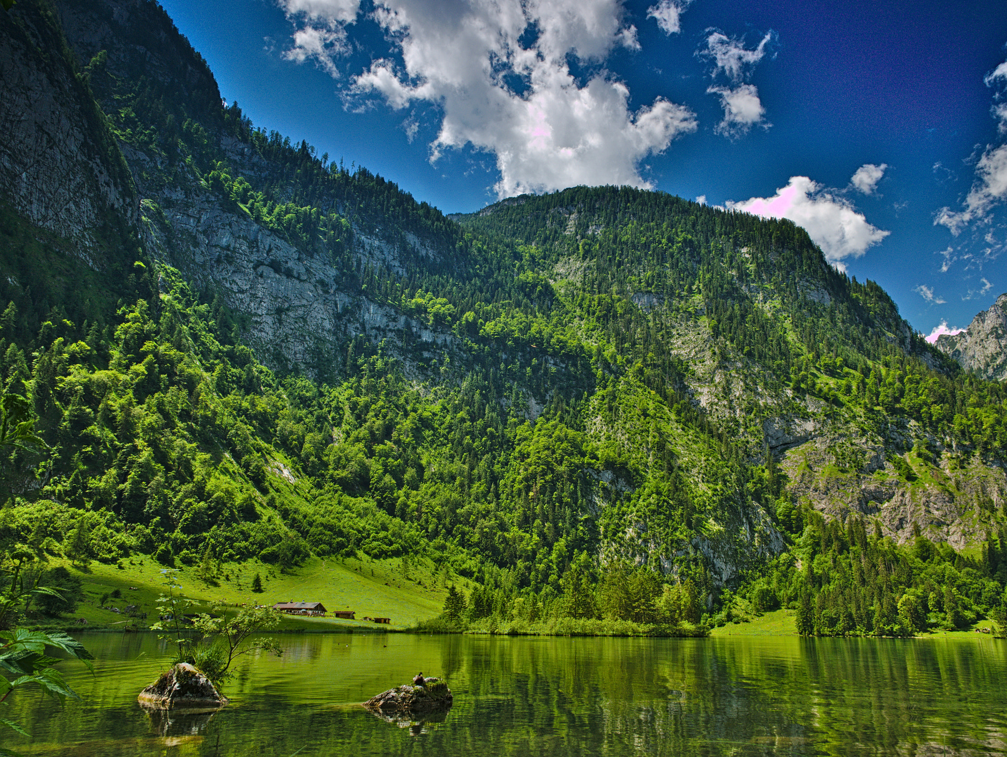 Panasonic DMC-G81 sample photo. Am königsee photography