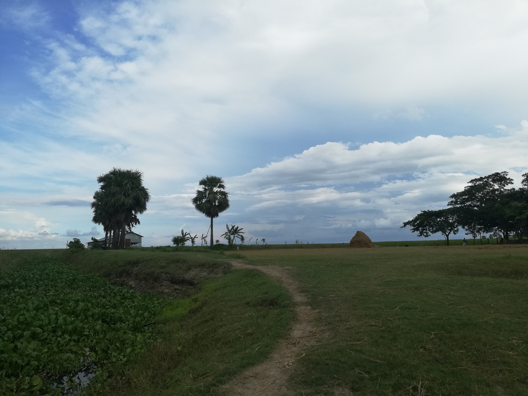 HUAWEI nova 2i sample photo