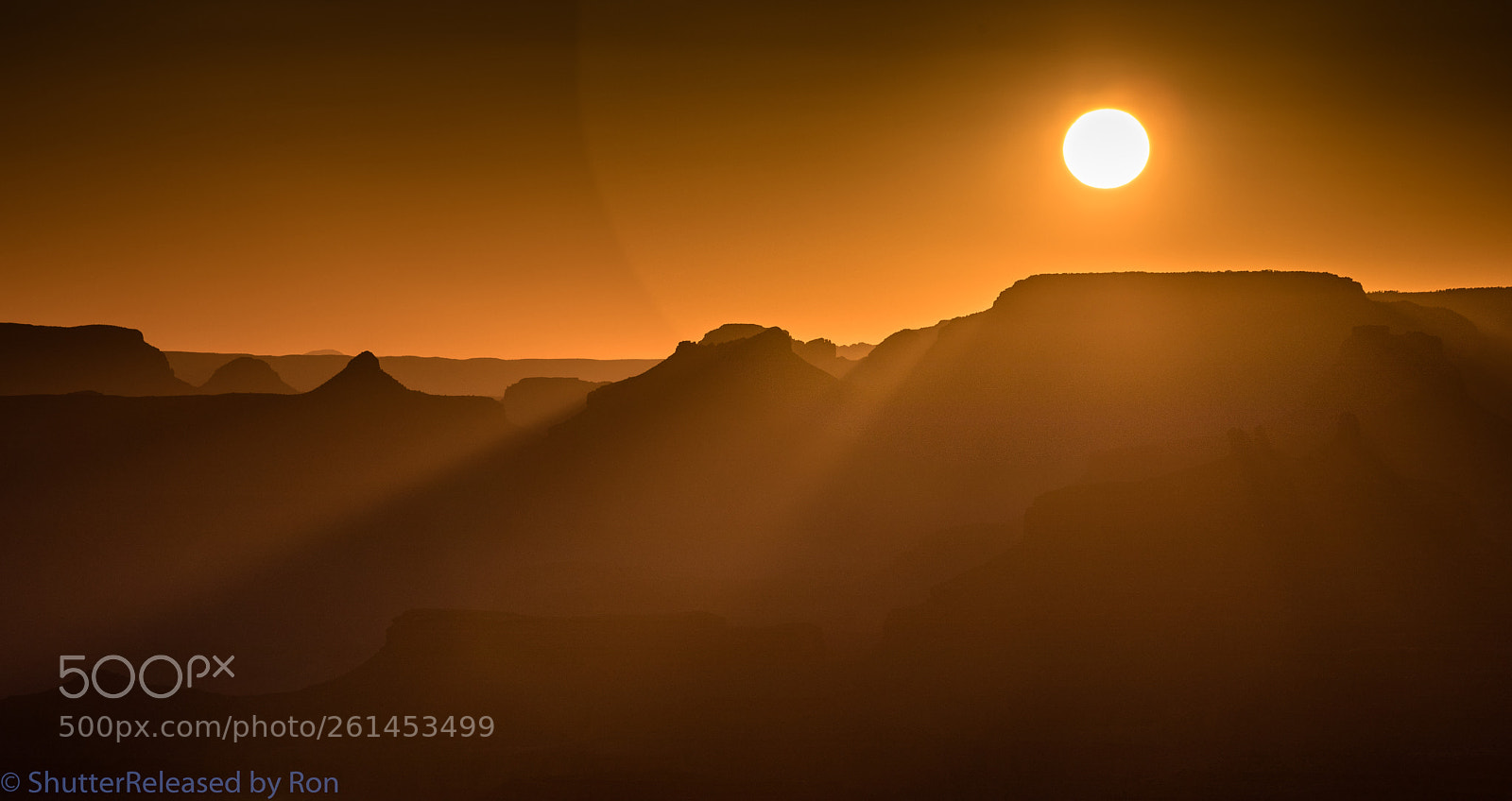 Canon EOS 5D Mark IV sample photo. The egg yolk photography