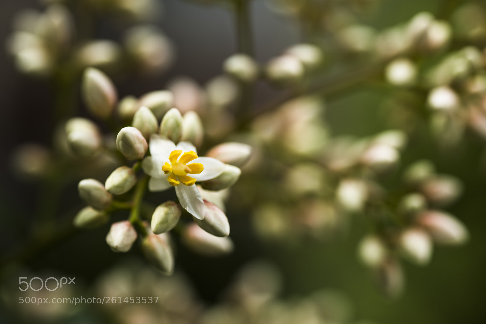 Nikon D810 sample photo. In a world   no.32 photography