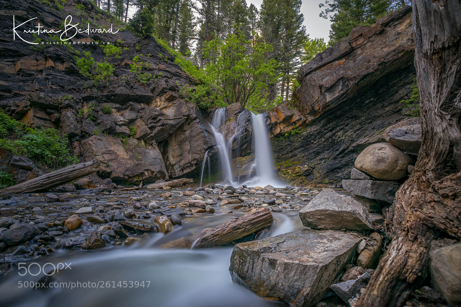 Nikon D810 sample photo. Miners path photography
