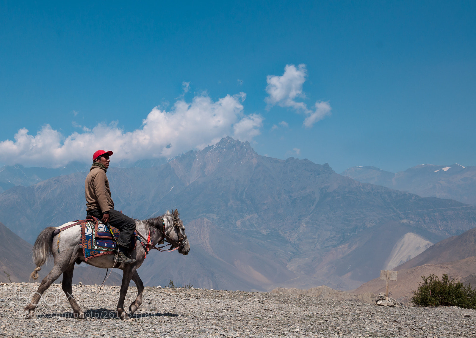 Nikon D90 sample photo. Horserider photography